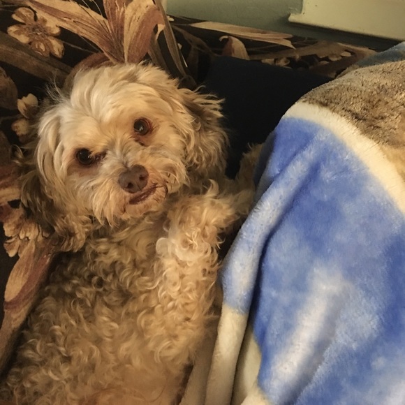 Supplying All The Needs Of A Reseller - Picture 4 of 4